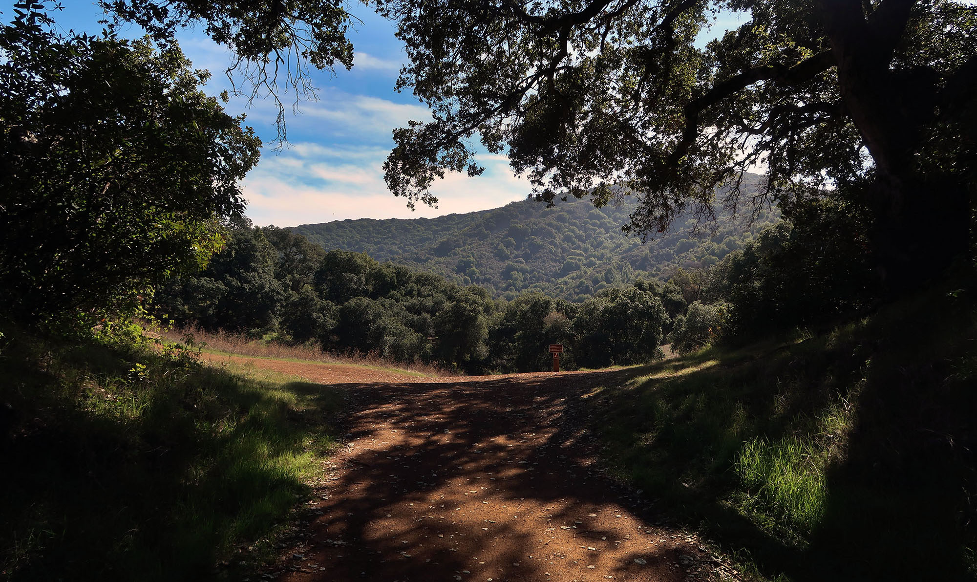 The meadows of the Rancho San Antonio preserve, as seen from the the trail up Rhus Ridge, with Black Mountain in the background.