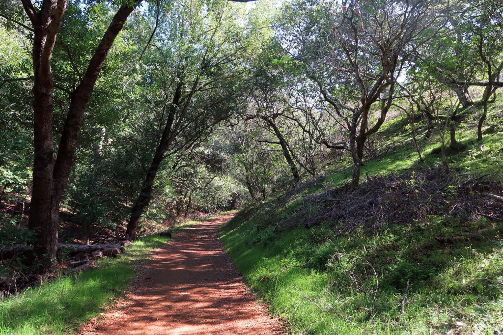 Black Mountain via Rhus Ridge - dismal wilderness