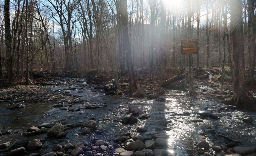 Slide, Cornell and Wittenberg (Catskills) - dismal wilderness