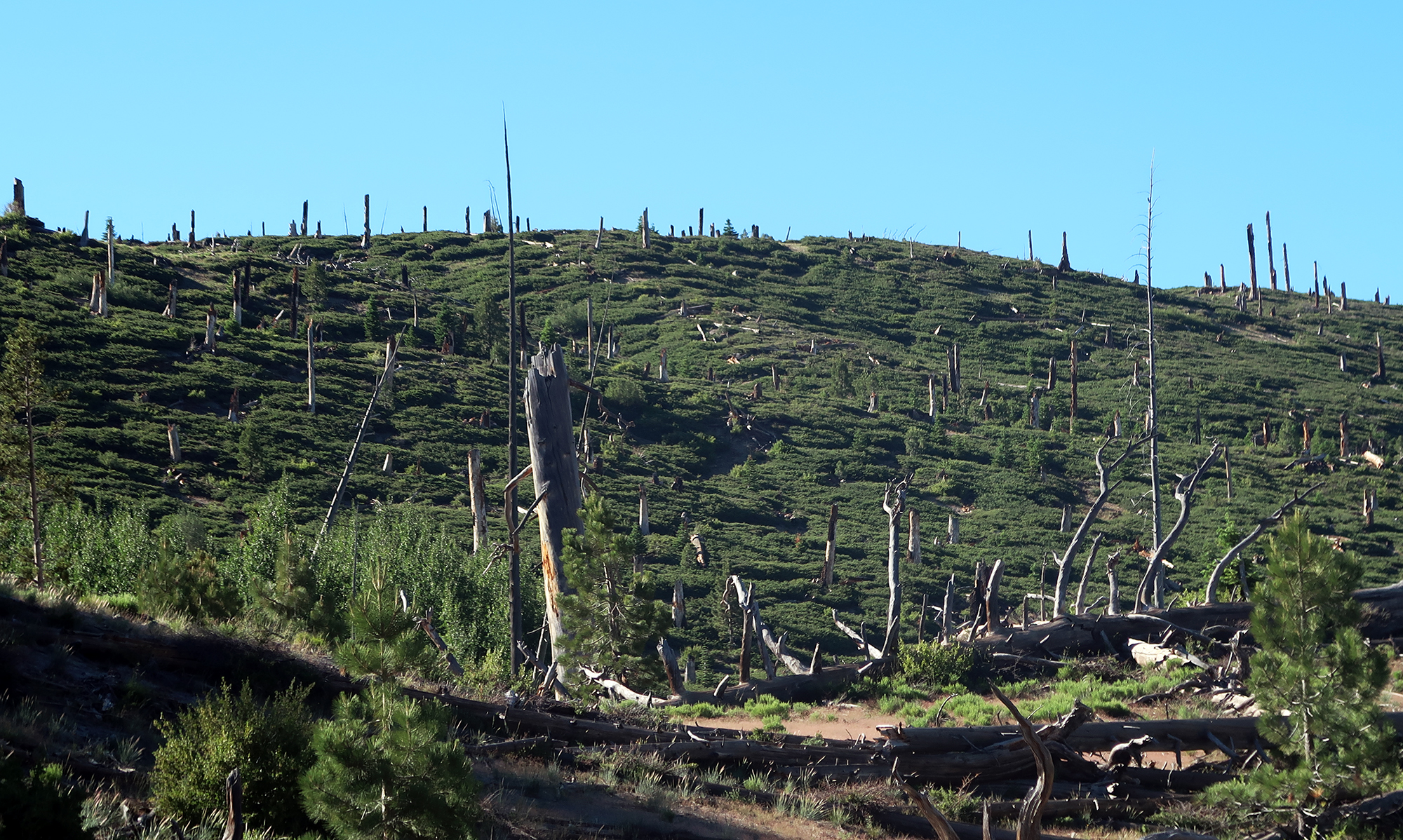 Devil's Postpile and Rainbow Falls (Mammoth Lakes) - dismal wilderness