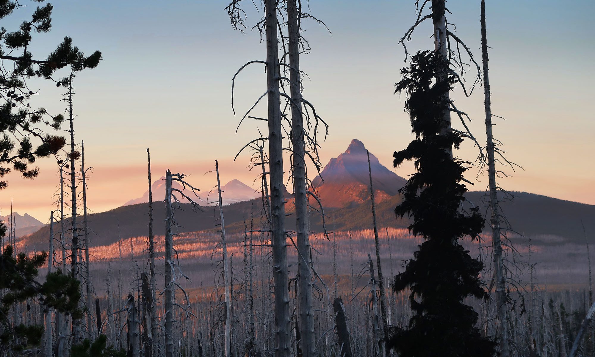 Mt Washington seen from the PCT en route to Three Fingered Jack