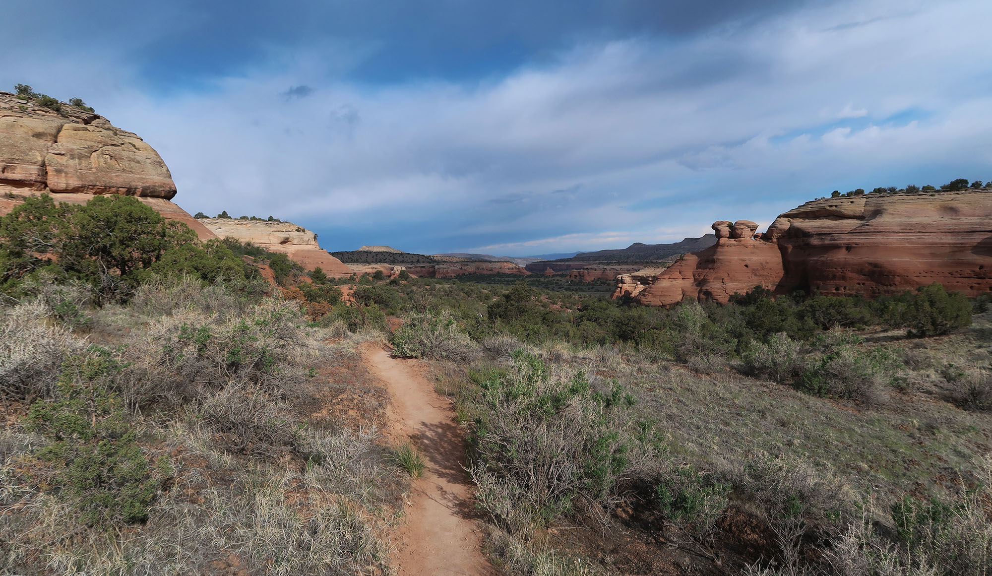 Rattlesnake Arches (McInnis Canyons) - dismal wilderness