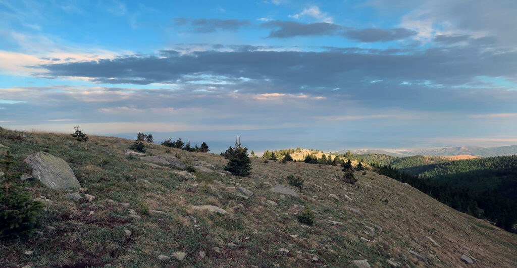 A grassy slope en route to Culebra Peak.