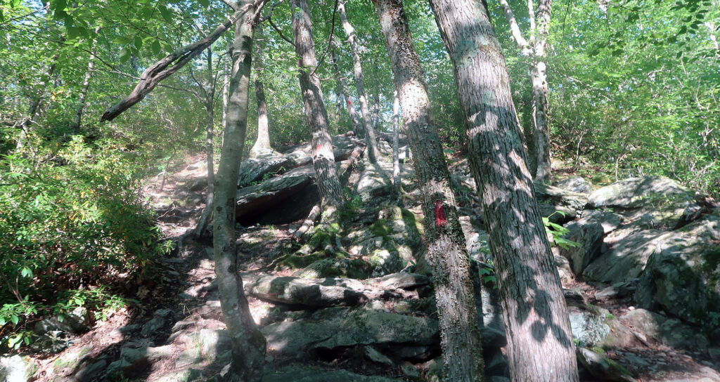 One of two short scramble sections en route.