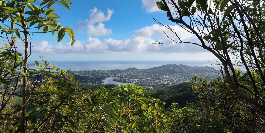 Views towards the ocean on Oahu's windward side.