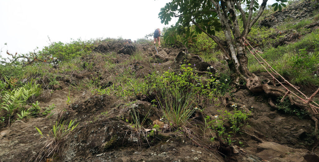 A fellow hiker walks down the steep pitches beneath the second peak.