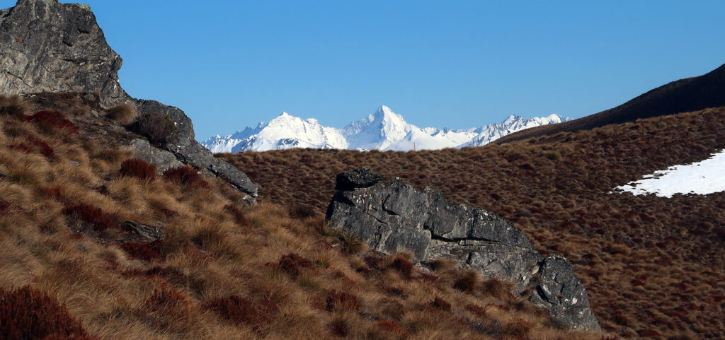 Snow-capped peaks rise beyond the ridgeline on Isthmus Peak, across Lake Wānaka.