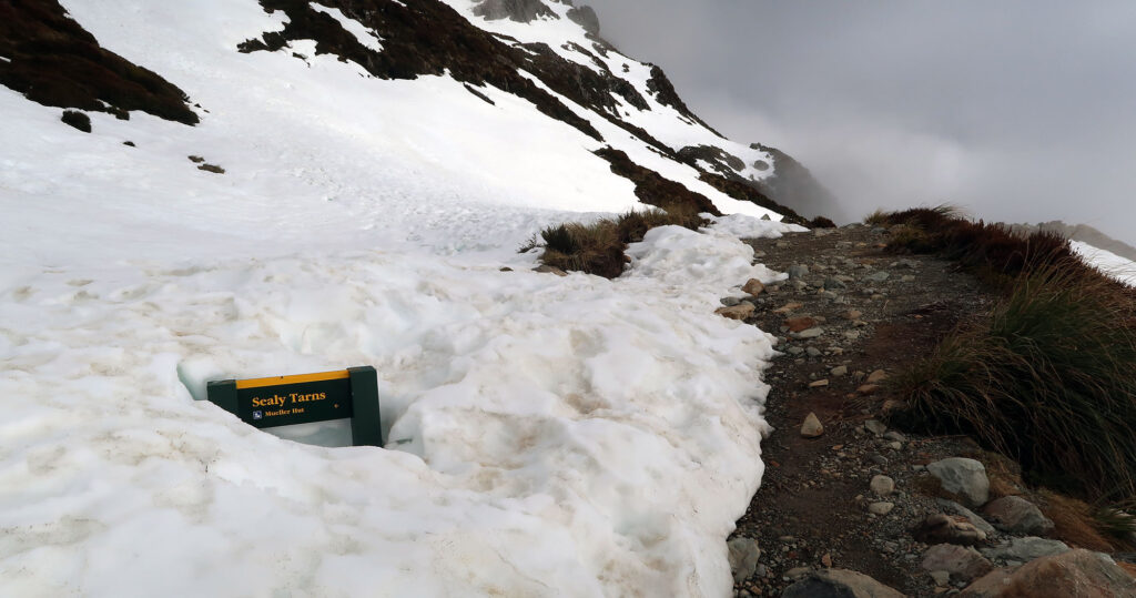 Signage marks the end of the improved trail, and where the Sealy Tarns allegedly sit.