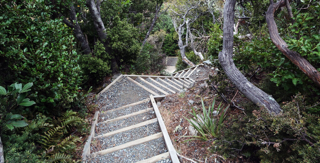 Heading down into thick foliage at the base of the track.
