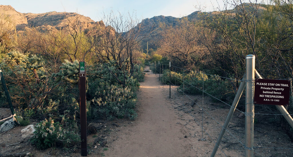 Hikers must traverse some awkward, fenced-in property lines en route to the Pusch Ridge Wilderness and Ventana Canyon.