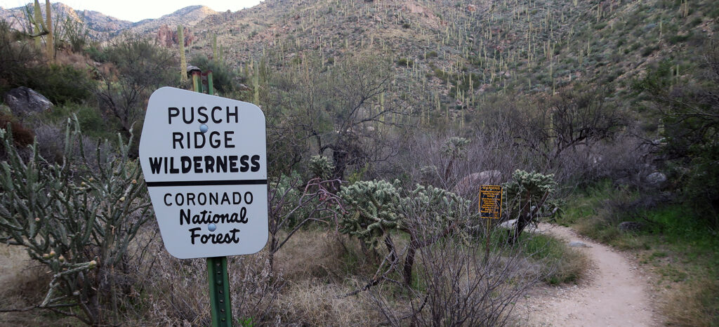 Heading into Ventana Canyon, en route to the Maiden Pools.
