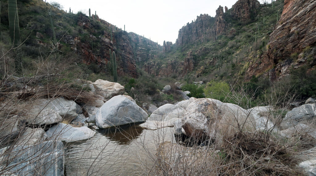 One of the numerous pools in Ventana Canyon. Which ones were the Maiden Pools? Your guess is as good as mine!