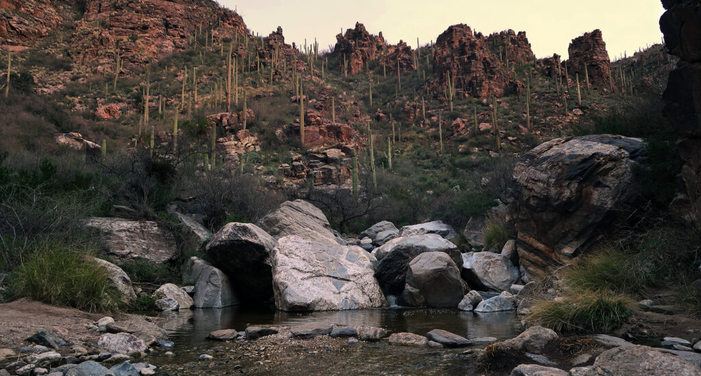Water, rock, and saguaros!