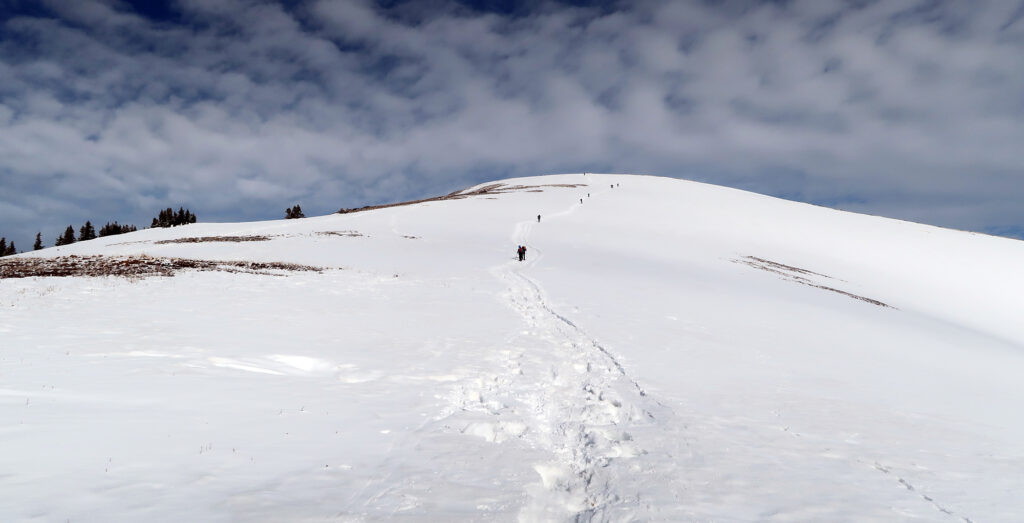 A dozen or so hikers are visible ahead of us on the push beyond treeline. A may trip snowshoeing or skiing Quandary allows you to avoid the peaks' infamous summer crowds.