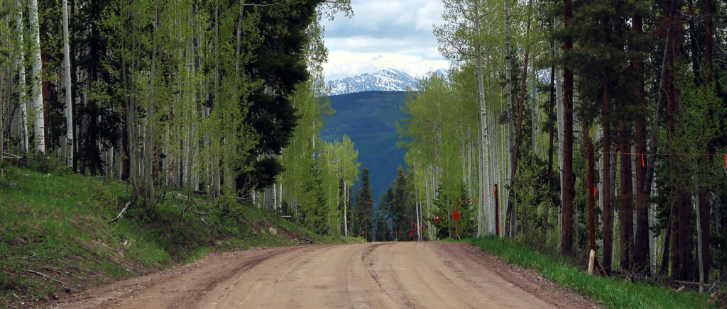 Heading down Cinch, framed by newly-leafed Aspens.