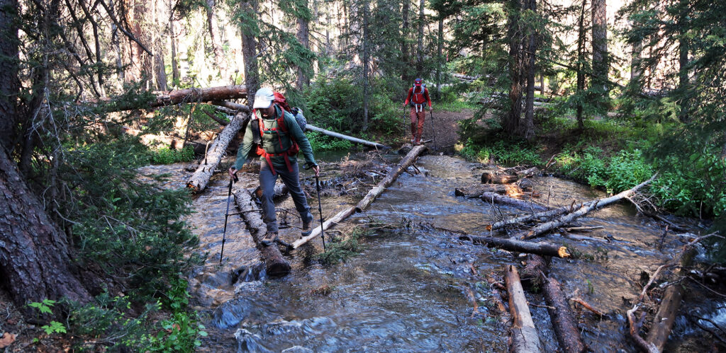 One of many log crossings along the Traverse.