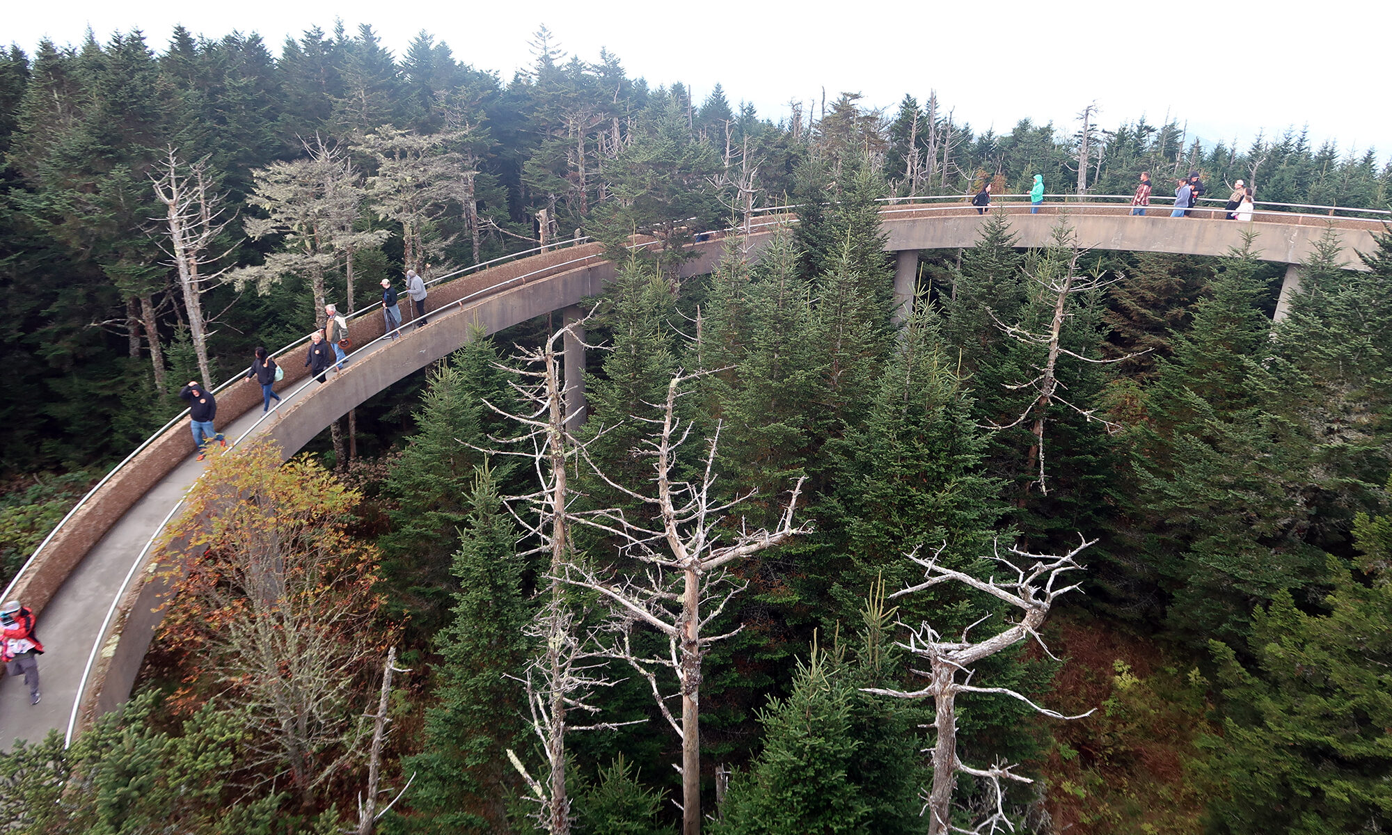 Kuwohi (Great Smoky Mountains NP) - dismal wilderness