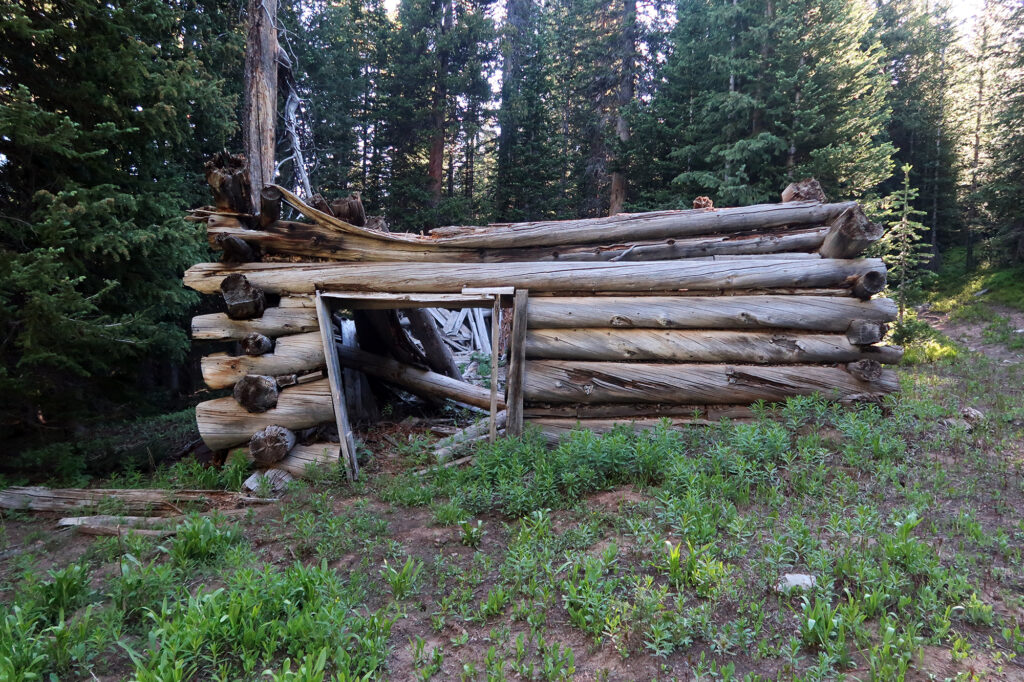 A partially collapsed cabin near old mining sites.