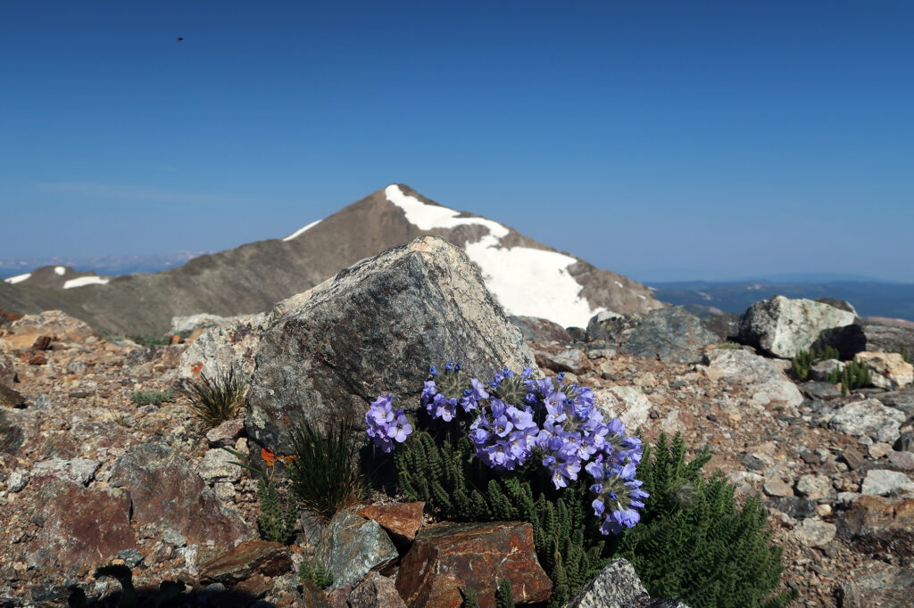 Crystal Peak from the summit of Father Dyer Peak.