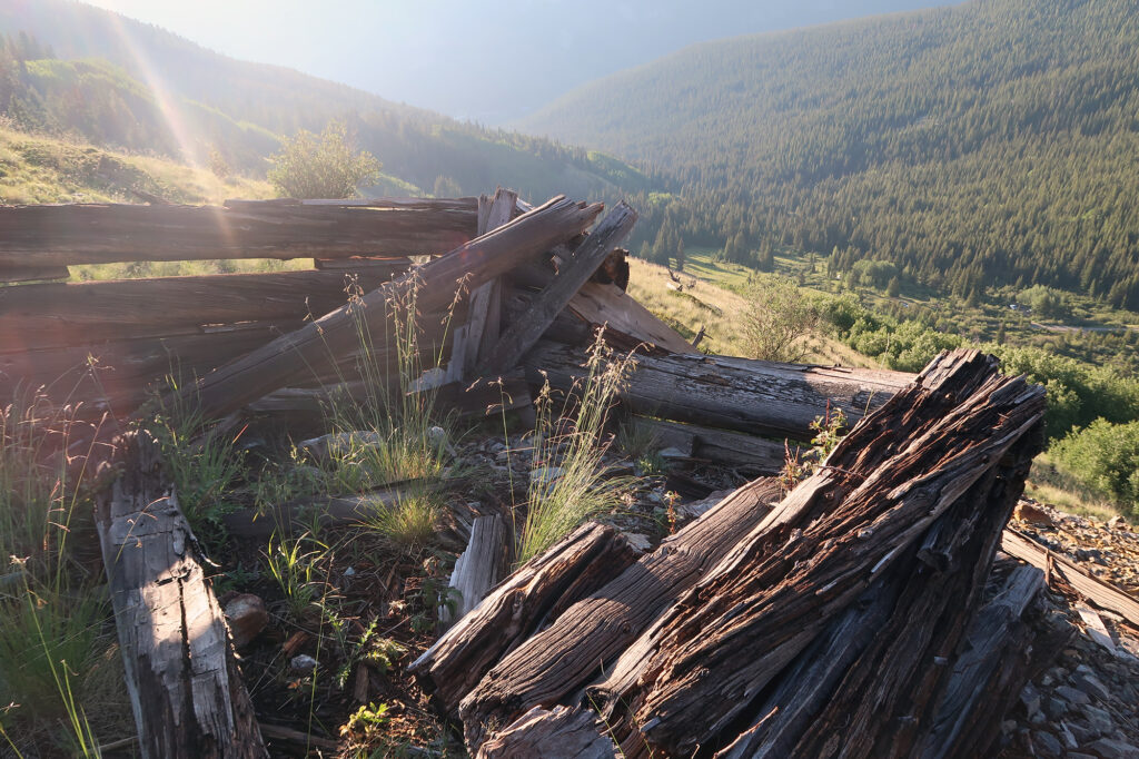 An old mining structure just above the trees on Pacific Peak's East Ridge.