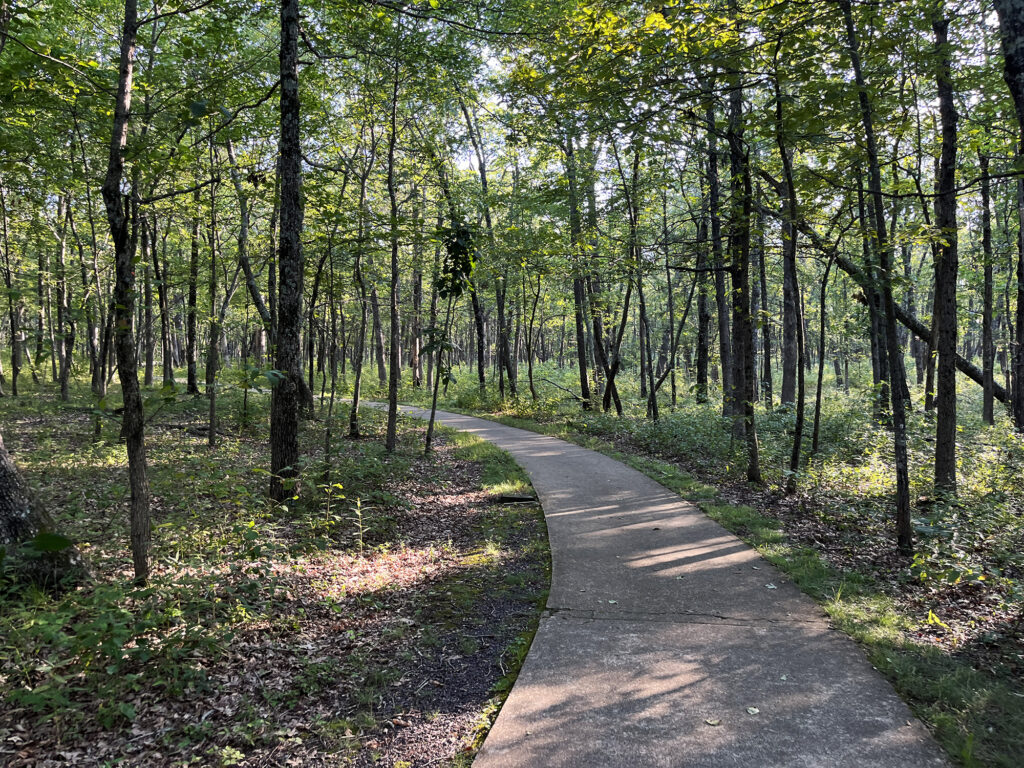An arcing concrete sidewalk to the "summit."