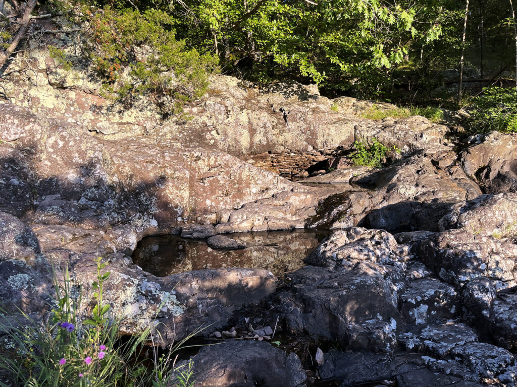 Dry falls, with wildflowers.