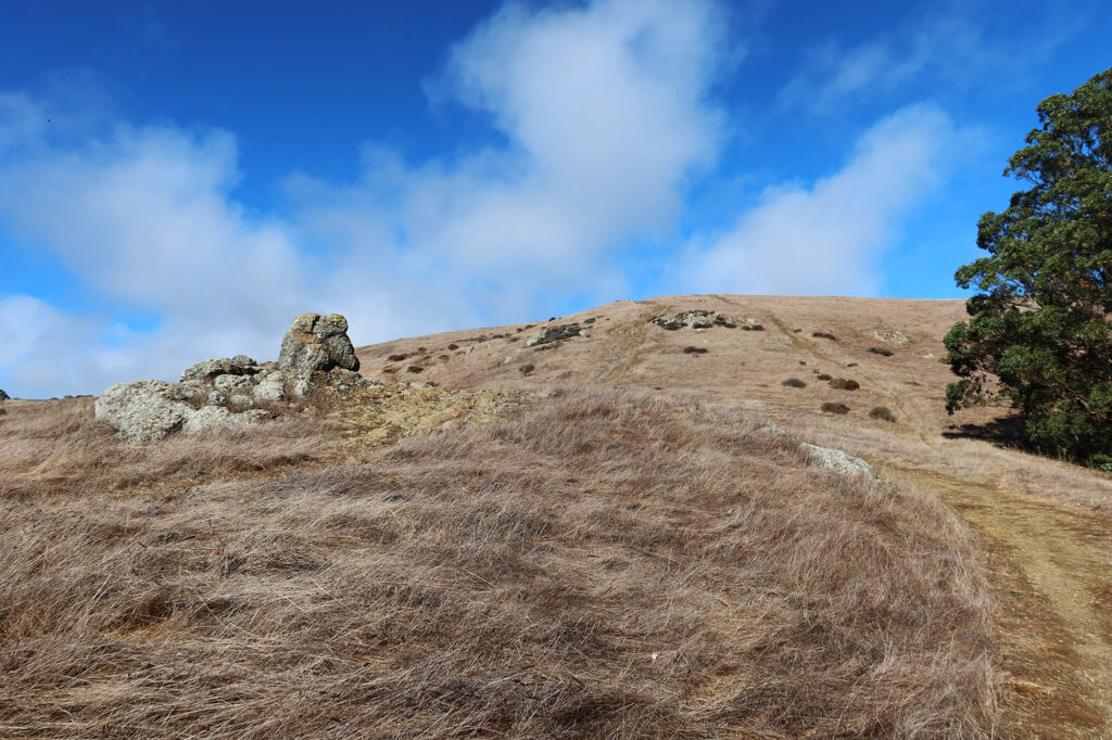 The steep, grassy slopes of San Bruno Mountain.