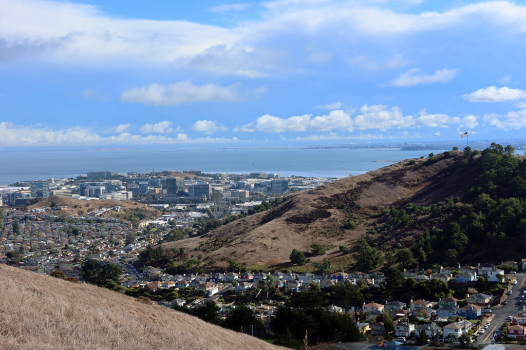 Little boxes on the hillside.