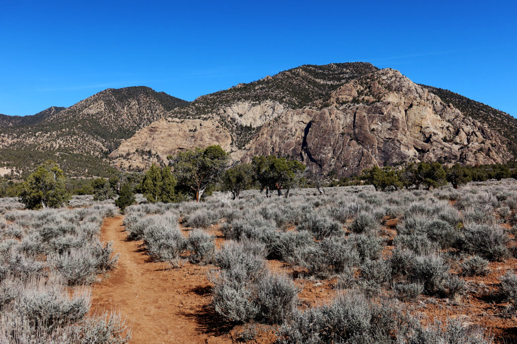 Sagebrush en route to the arch, with pinyon lining a small wash running perpendicular to the trail.  The rugged Grand Hogback rises in the distance.