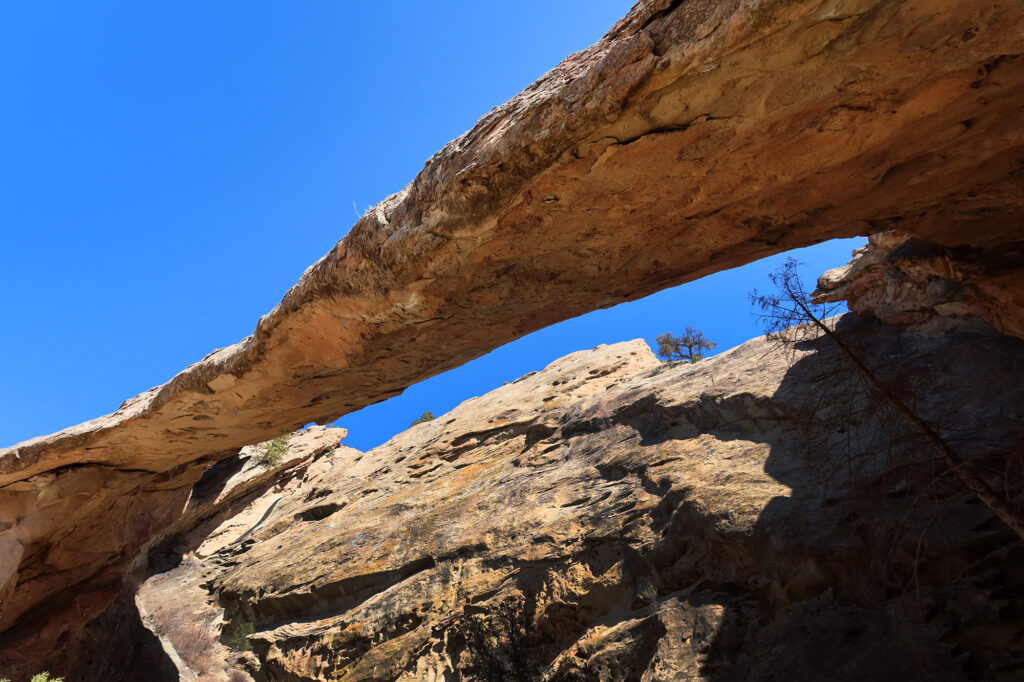 Rifle Arch from below.