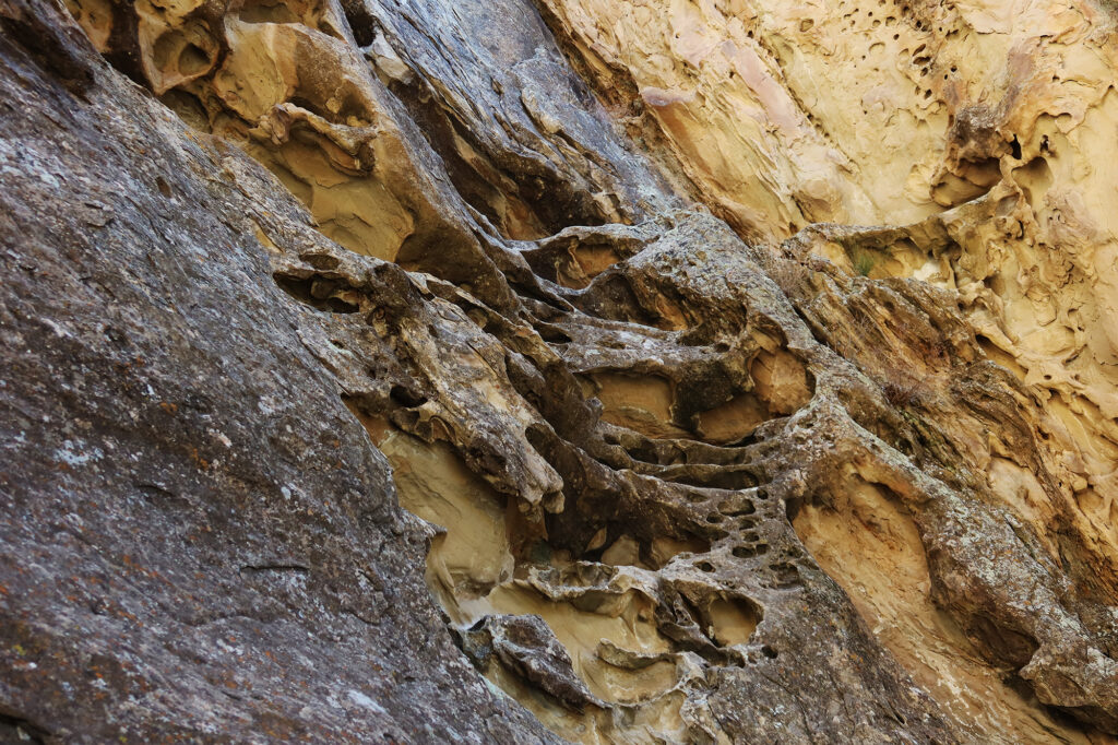Funky scooped formations on the cliffs behind the arch.