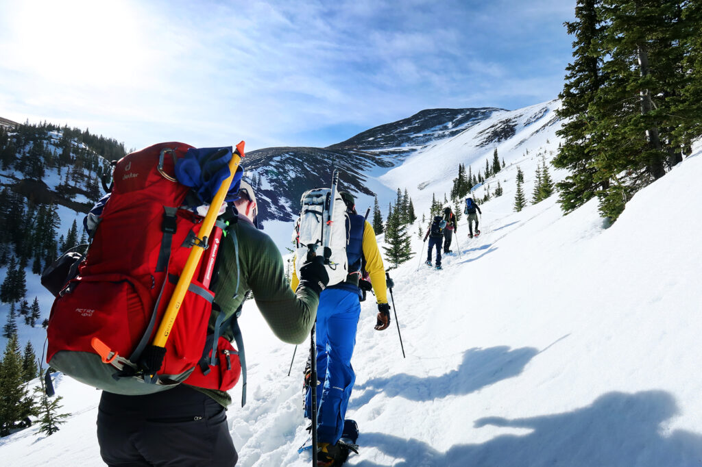 Chugging along onto steeper slopes with sparser trees in the upper basin, beneath Mount Guyot.