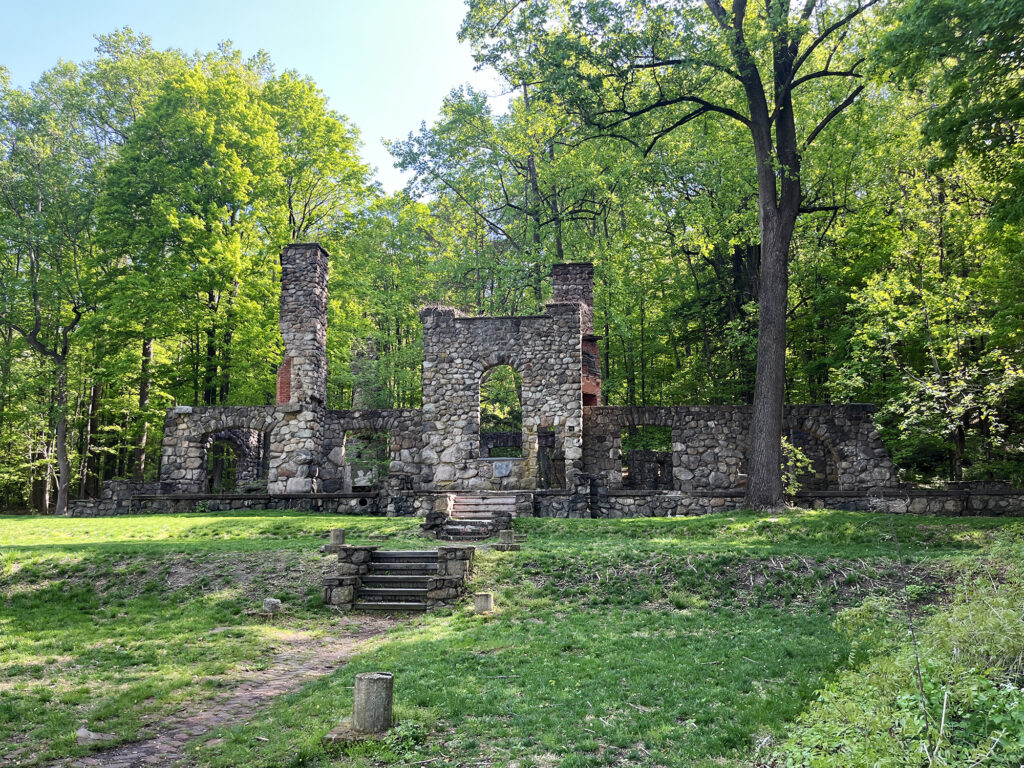 The lawn/gardens of the old estate.