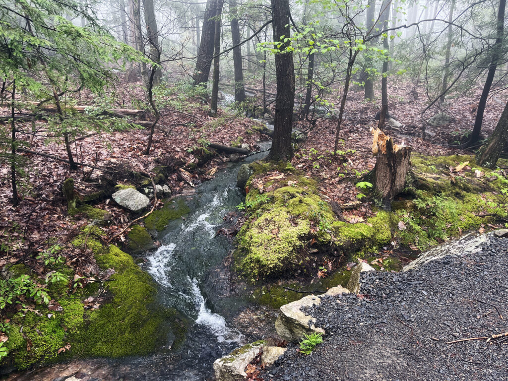Spring runoff rushes beneath one of numerous carriage paths in Minnewaska State Park.  The robust carriage paths are an artifact of its history as the home to multiple grand hotels in the 1800s.