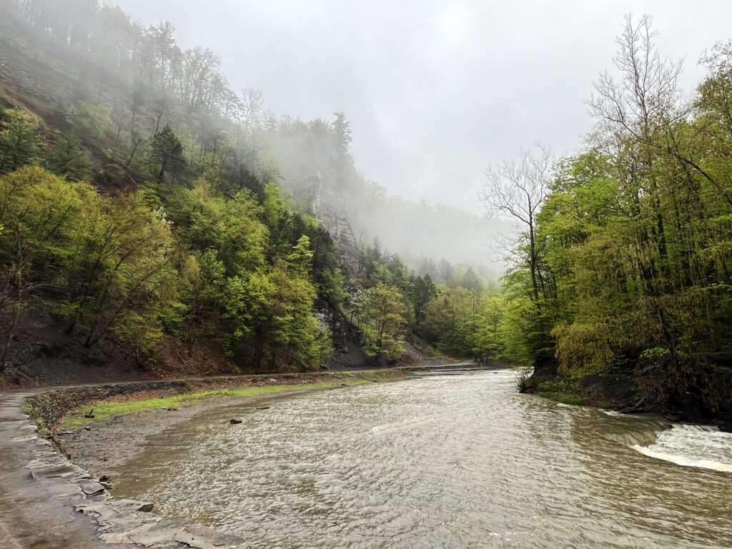 An open bend in the gorge.
