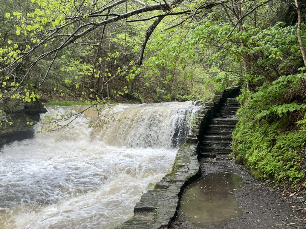 Water rushes over smaller waterfalls along Enfield Creek alongside the Gorge Trail.
